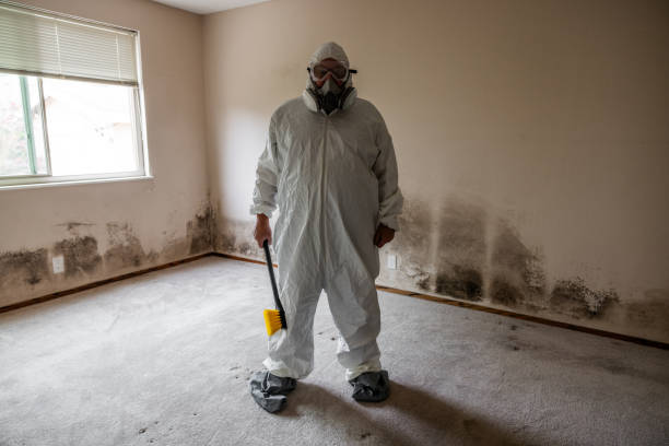 Best Mold Removal for HVAC Installations  in Moravian Falls, NC